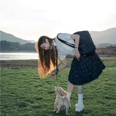 极品芝麻官